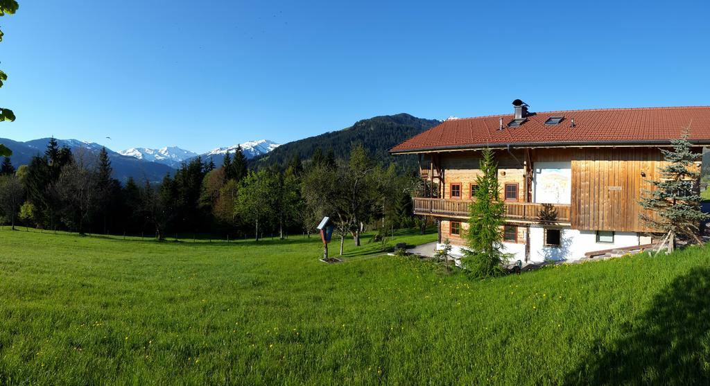 Schrandl Apartment Penningberg Hopfgarten im Brixental Exterior foto